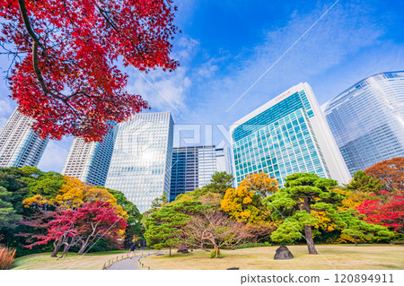 濱離宮恩賜庭園,東京的靜謐空間,秋葉美麗 濱離宮恩賜庭園,東京的靜謐空間,秋葉美麗 120894911