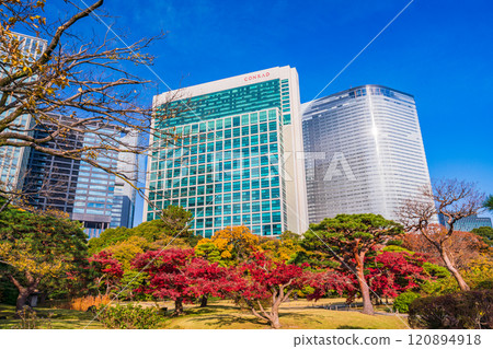 濱離宮恩賜庭園，東京的靜謐空間，秋葉美麗 120894918