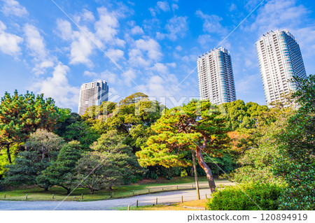 Hama-rikyu Gardens: A relaxing space in Tokyo with beautiful autumn foliage 120894919
