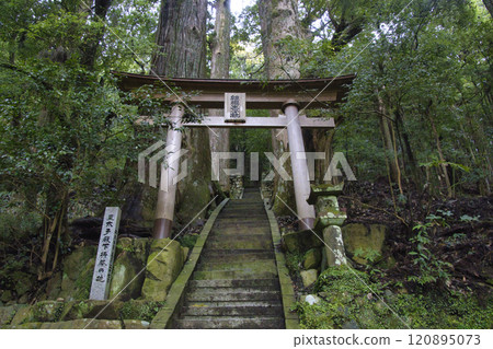 和歌山縣田邊市熊野古道、中邊市、繼櫻王子、野中一杉 120895073