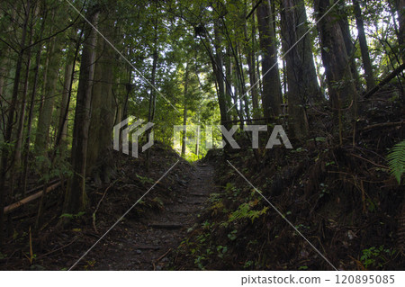 和歌山縣田邊市熊野古道中邊山路 120895085