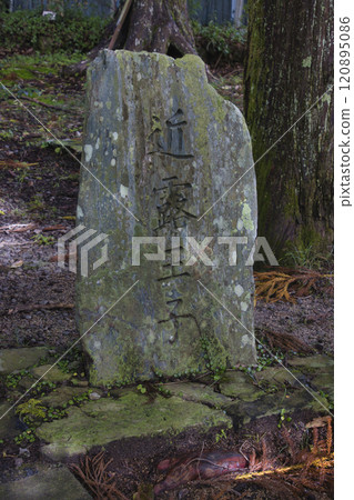 和歌山縣田邊市熊野古道中邊金郎王子 120895086