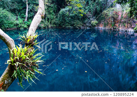 View of beautiful Lom Phu Khiew or Blue lake sinkhole. 120895224