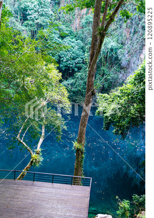 Vertical view of Lom Phu Khiew or Blue Lake Sinkhole in the rain fores. Vertical view of Lom Phu Khiew or Blue Lake Sinkhole in the rain fores. 120895225