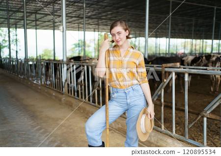 Happy cheerful caucasian white female farmer making arms crossed and smiling to camera while standing in cow dairy farm. Female vet or veterinarian inspecting a livestock cows in farm. Happy cheerful caucasian white female farmer making arms crossed and smiling to camera while standing in cow dairy farm. Female vet or veterinarian inspecting a livestock cows in farm. 120895534
