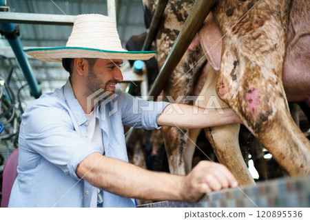 Happy cheerful Middle East - Asian male farmer collecting a dairy milk and smiling to camera. Male vet or veterinarian inspecting a livestock cows in farm. Happy cheerful Middle East - Asian male farmer collecting a dairy milk and smiling to camera. Male vet or veterinarian inspecting a livestock cows in farm. 120895536