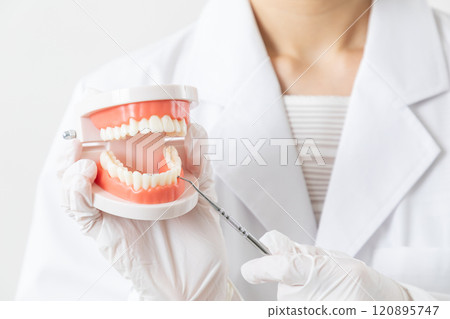 Doctor's instructions on removing tartar 09 120895747