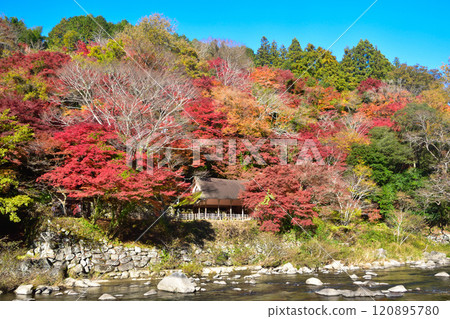 Autumn Korankei 120895780