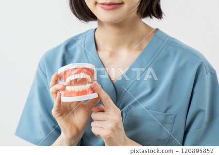 Dentist explaining using a jaw model Image 01 120895852
