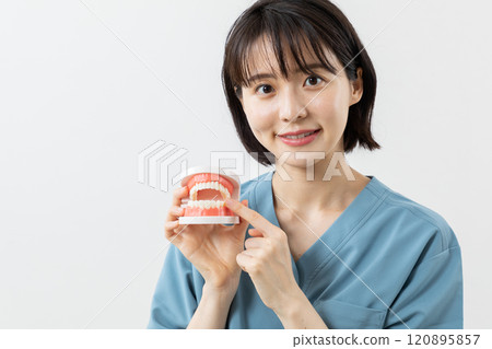 牙醫使用下顎模型進行解釋的圖片 07 牙醫使用下顎模型進行解釋的圖片 07 120895857