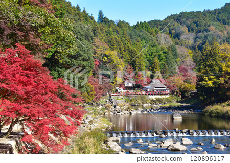 秋天香蘭溪 秋天香蘭溪 120896117