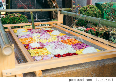 Ibaraki Kasama City Kasama Inari Shrine Flower water at the Chozuya 120896401