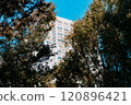 Urban greenery and architecture surrounded by nature 120896421