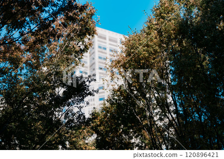 被大自然包圍的城市綠化與建築 120896421