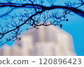 Nature's urban landscape 120896423