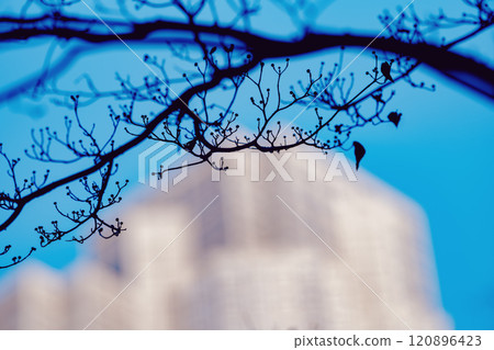 Nature's urban landscape Nature's urban landscape 120896423