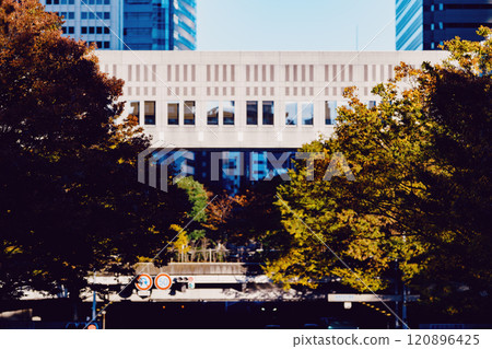 自然與城市框架 120896425