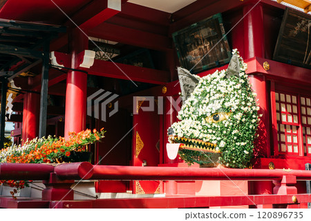 茨城家族笠間市笠間稻荷神社菊花節 120896735