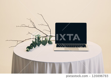 Laptop alongside coral-shaped sculpture and floating smartphone, combining dynamic composition and negative space for innovative branding. Laptop alongside coral-shaped sculpture and floating smartphone, combining dynamic composition and negative space for innovative branding. 120896783