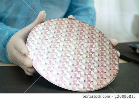 Silicon wafer for manufacturing semiconductor of integrated circuit. 120896813