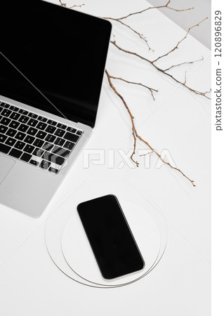 Minimal layout with smartphone, laptop, and dry branch. Plenty of room for text or overlays. Suitable for promoting apps, services, or designs. 120896829