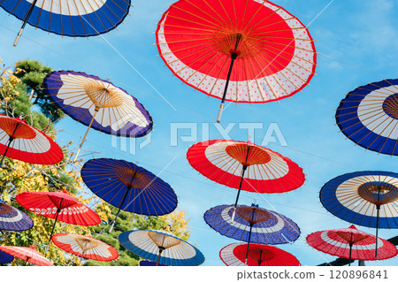 Kasama Chrysanthemum Festival, Kasama City, Ibaraki Prefecture, Umbrellas floating in the sky Kasama Chrysanthemum Festival, Kasama City, Ibaraki Prefecture, Umbrellas floating in the sky 120896841