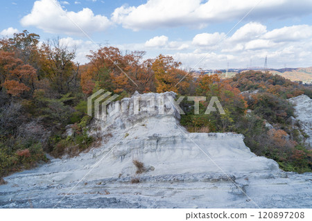 Tonzurubou Tonzurubou 120897208