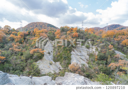 Tonzurubou 120897210