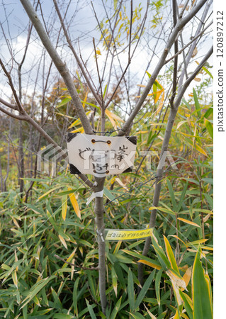 The summit of Tonzurubo 120897212
