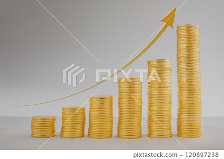 Assets (IR, investment, business) are increasing steadily 120897238