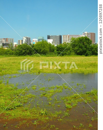 Edogawa riverbank and buildings on the opposite bank after rain in early summer Edogawa riverbank and buildings on the opposite bank after rain in early summer 120897288