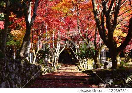 秋天的慶石寺 秋天的慶石寺 120897294