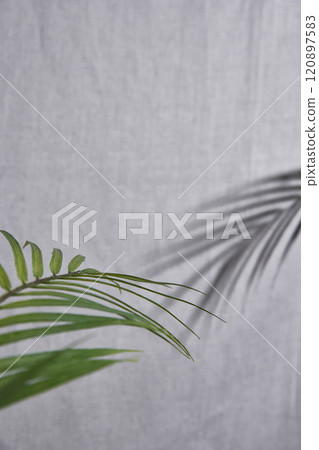 A sunlit interior background with a nice feel of the fabric's texture. A sunlit interior background with a nice feel of the fabric's texture. 120897583