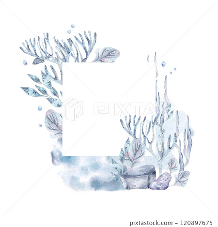 Watercolor seabed on monochrome frame with coral, sea plants and stones isolated. Underwater illustration with pale blue laminaria hand drawn. Fantasy marine nature for nautical packaging, greeting. 120897675