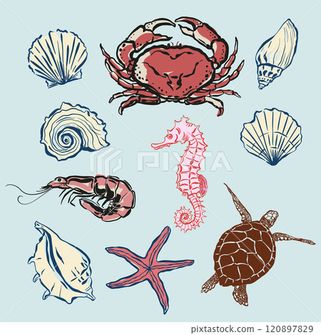 Vector sea animals set of crab, turtle, shell and seahorse. Hand-drawn vintage composition isolated on blue background. Illustration for design, print, fabric or background. Vector sea animals set of crab, turtle, shell and seahorse. Hand-drawn vintage composition isolated on blue background. Illustration for design, print, fabric or background. 120897829