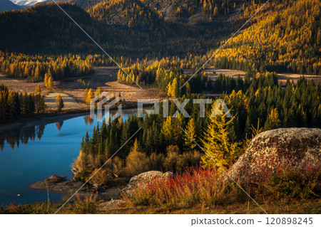 Scenic autumn landscape in Altai with river and colorful forest 120898245