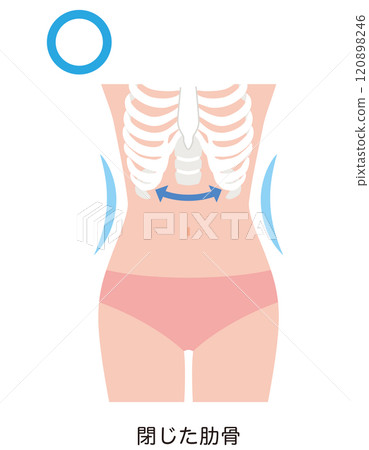 Closed ribs Waist 120898246