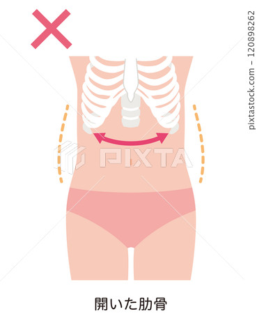 Open ribs, stocky body type Open ribs, stocky body type 120898262