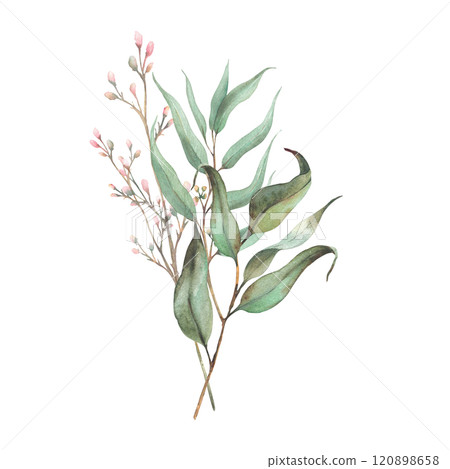Eucalyptus seeded plant, laurel branch and twig with pink rose buds or little flowers. Botanical Watercolor arrangement, hand drawn illustration for invitation, greeting card isolated from background  120898658