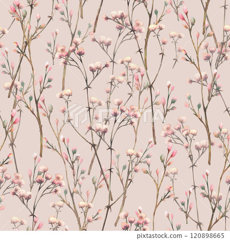 Twig with pink cream buds. Gypsophila flowers watercolor seamless pattern. Dried herbs, dry blades of grass for fabric, wallpaper print isolated rose pastel coloured background hand drawn illustration 120898665