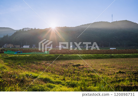 日出和稻田與稻米架【木崎湖】 120898731