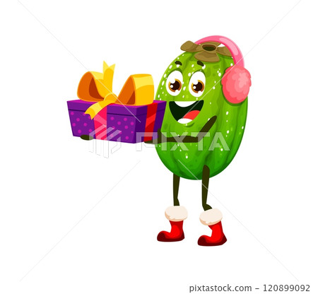 Cartoon winter tropical feijoa fruit character wearing earmuffs holding Christmas and New year gift box. Isolated vector personage with cheerful smile spreading holiday cheer with colorful present 120899092