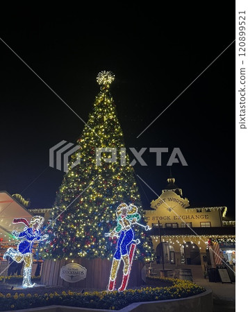 Outdoor Christmas tree 120899521