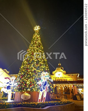 Outdoor Christmas tree 120899522