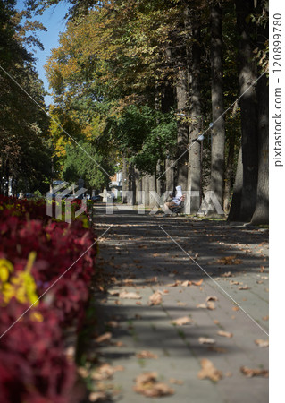 Pedestrian alley in the city park, man sits on bench, relaxing, 120899780