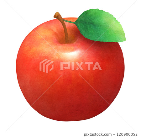 Hand-drawn watercolor illustration of red apples and leaves_fresh fruit 120900052