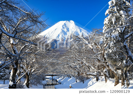 Snowy scenery of Oshino Village (Oshino Hakkai) 120900129