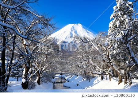 忍野村的雪景（忍野八海） 120900130