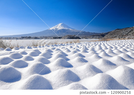 冬季薰衣草田及富士山風光河口湖大石公園 120900258
