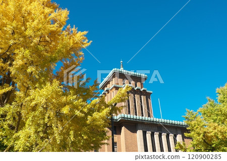 色彩繽紛的銀杏和神奈川縣政府國王塔 120900285